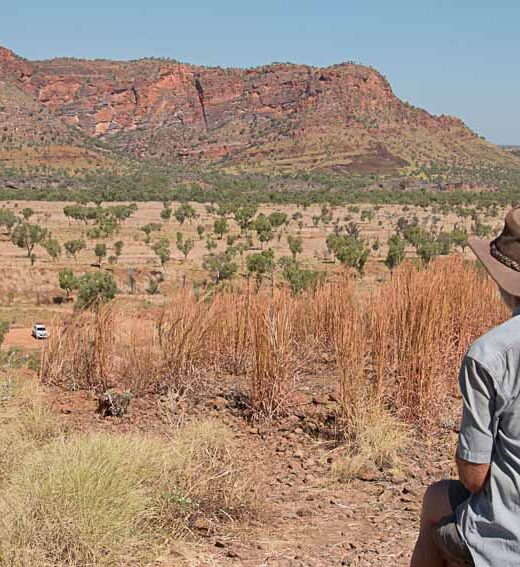 Purnululu National Park lookout view
